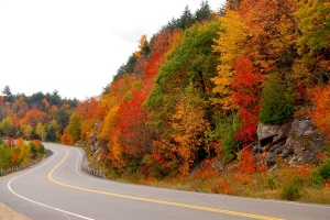 fall curving highway in northern ontario canada